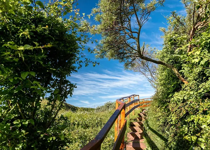 Insulaner Dependance *